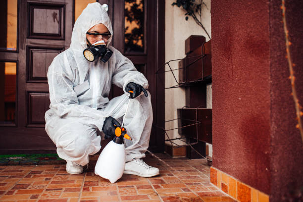 Reliable Bed Bug Control contractor in Fruitdale, CA by Nex Pest Control
